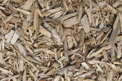 biomass boilers Sedbusk