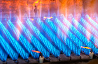 Sedbusk gas fired boilers